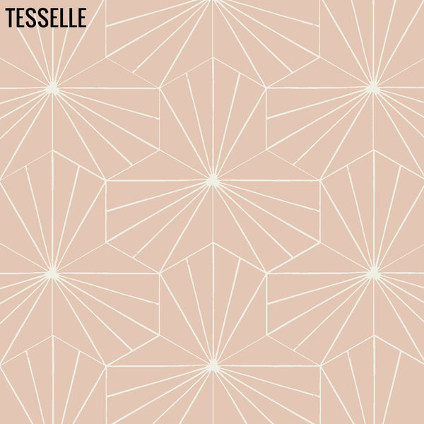 Sunray Shell 9x8" Hexagonal Cement Tile 1