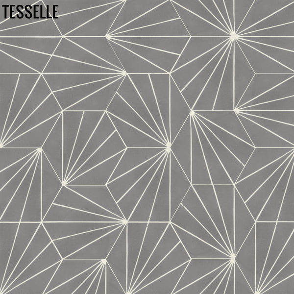 Sunray Steel 9x8" Hexagonal Cement Tile