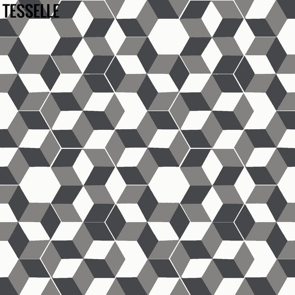 Tableau Montage 9x8" Hexagonal Cement Tile 2