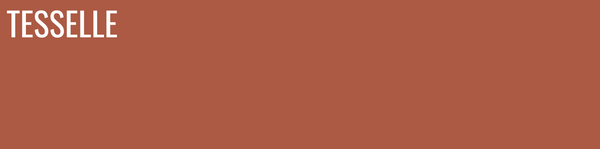 Terra Cotta - 8x2" Rectangular Cement Subway Tile