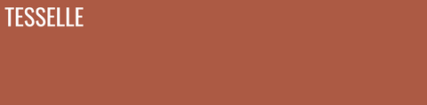 Terra Cotta - 8x2" Rectangular Cement Subway Tile
