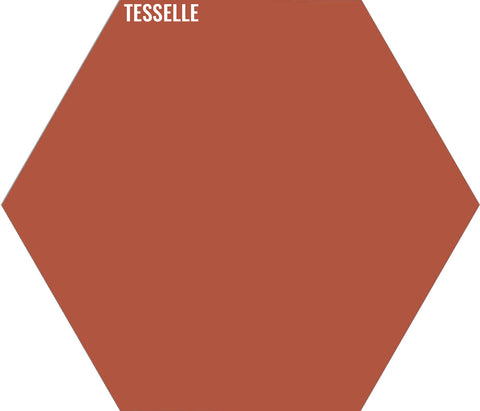 Terracotta 8107 - 9"x8" Hexagonal Cement Tile