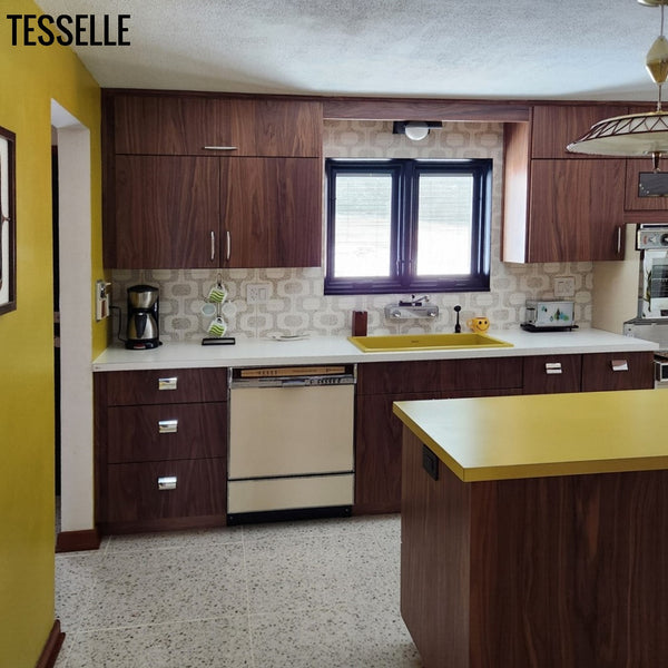 Ipanema Costa Tile backsplash in a mid-century kitchen