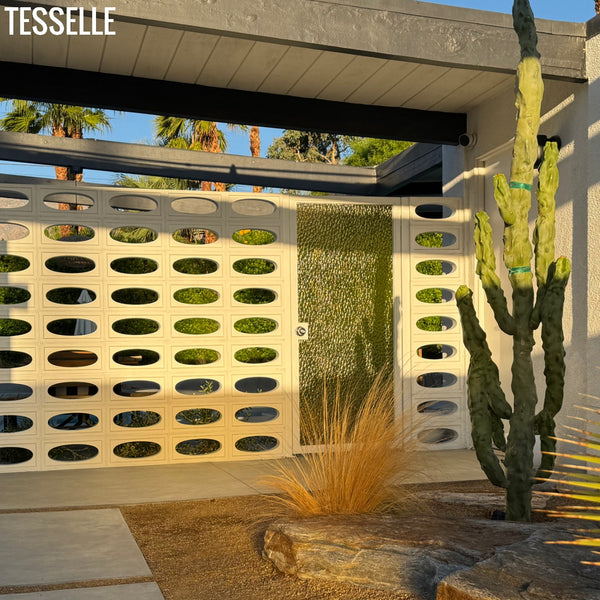 Ellipse Installation 2