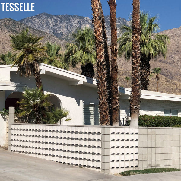 Pali White Cement Tiles in front of a Palm Springs House