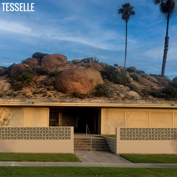 Modern house with geometric design on a rocky landscape with palm trees