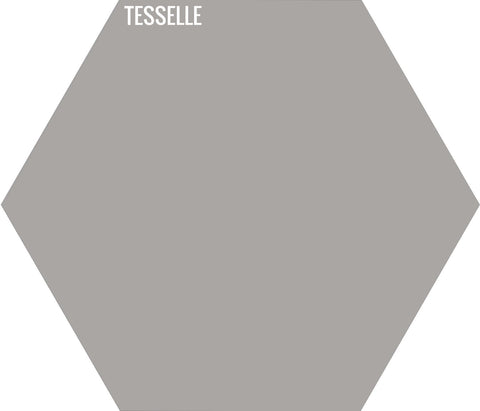 Ash 2001 - 9"x8" Hexagonal Cement Tile