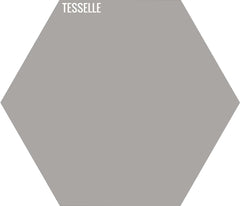 Ash 2001 - 9"x8" Hexagonal Cement Tile