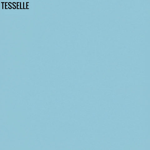 Caribbean 4005 - 8" Square Cement Tile