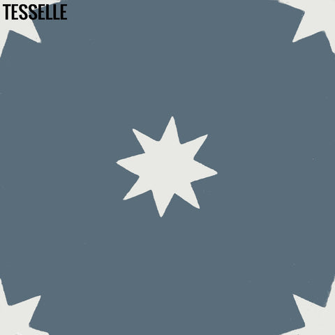 Galaxy Canis 8" Square Cement Tile
