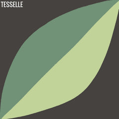 Tapa Green Largeleaf 8" Square Cement Tile by Shag