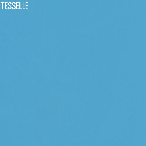 Lake 4007 - 8" Square Cement Tile Solid Color