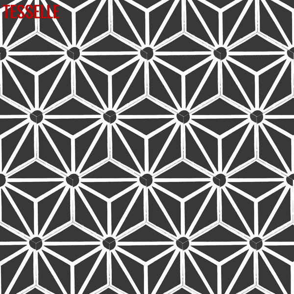 Orion Sigma 9x8" Hexagonal Cement Tile 1