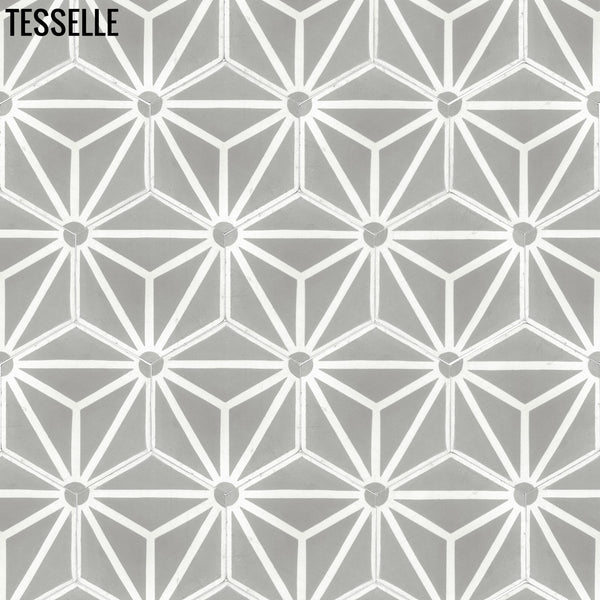 Orion Theta 9x8" Hexagonal Cement Tile 1