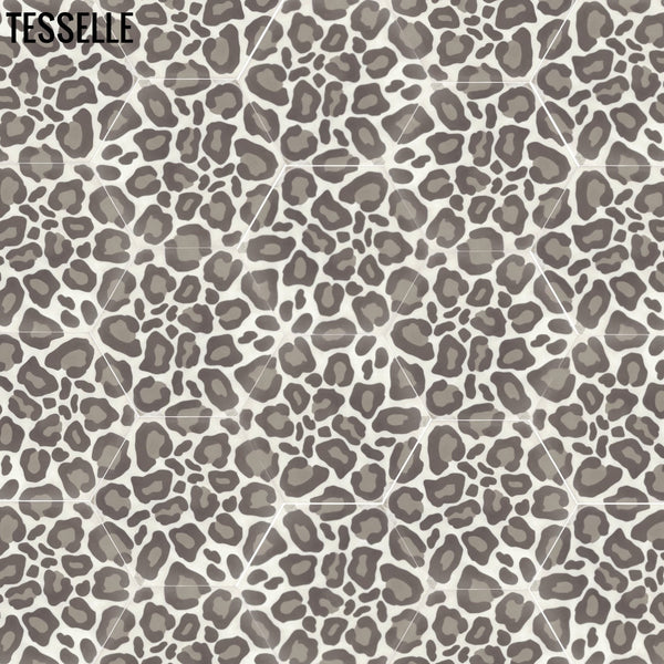 Safari Hexagonal Cement Tiles - Random Layout