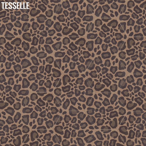 safari-savanna-9x8-hexagonal-cement-tile-layout