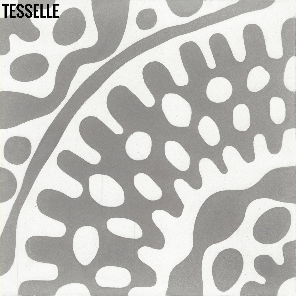 Sonora Thistle 8