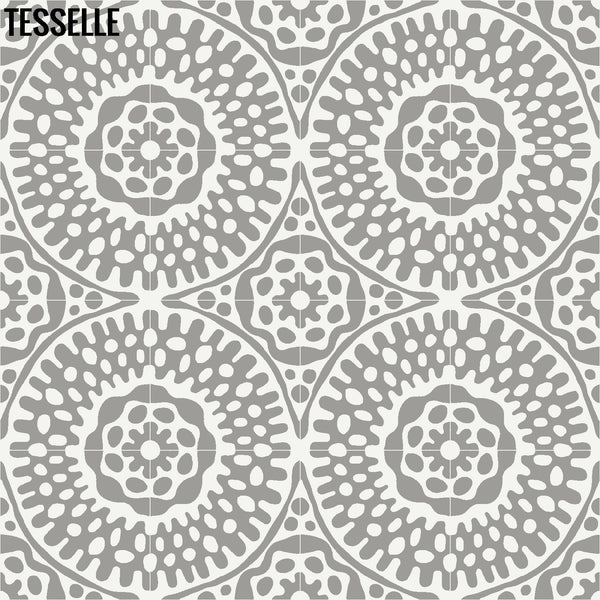 Sonora Thistle 8