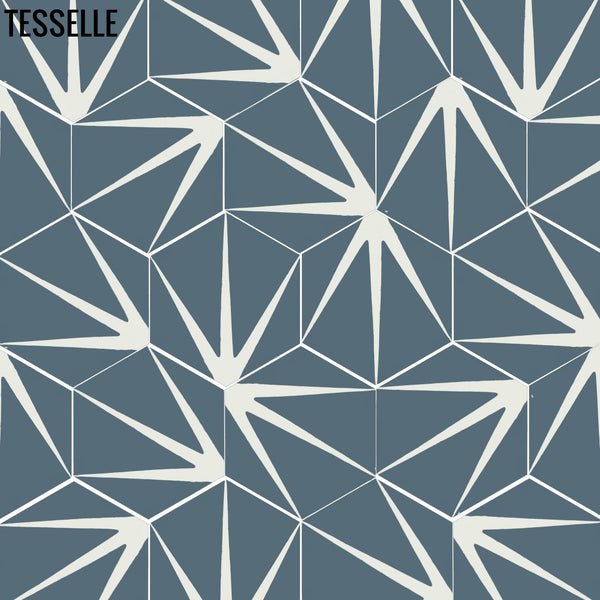 Sunbeam Lapis 9x8" Hexagonal Cement Tile 3