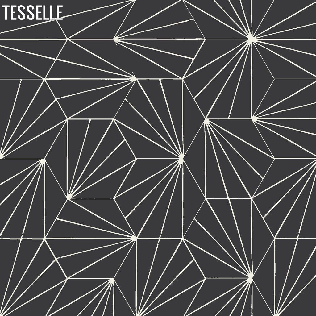 Sunray Basalt 9x8" Hexagonal Cement Tile 3