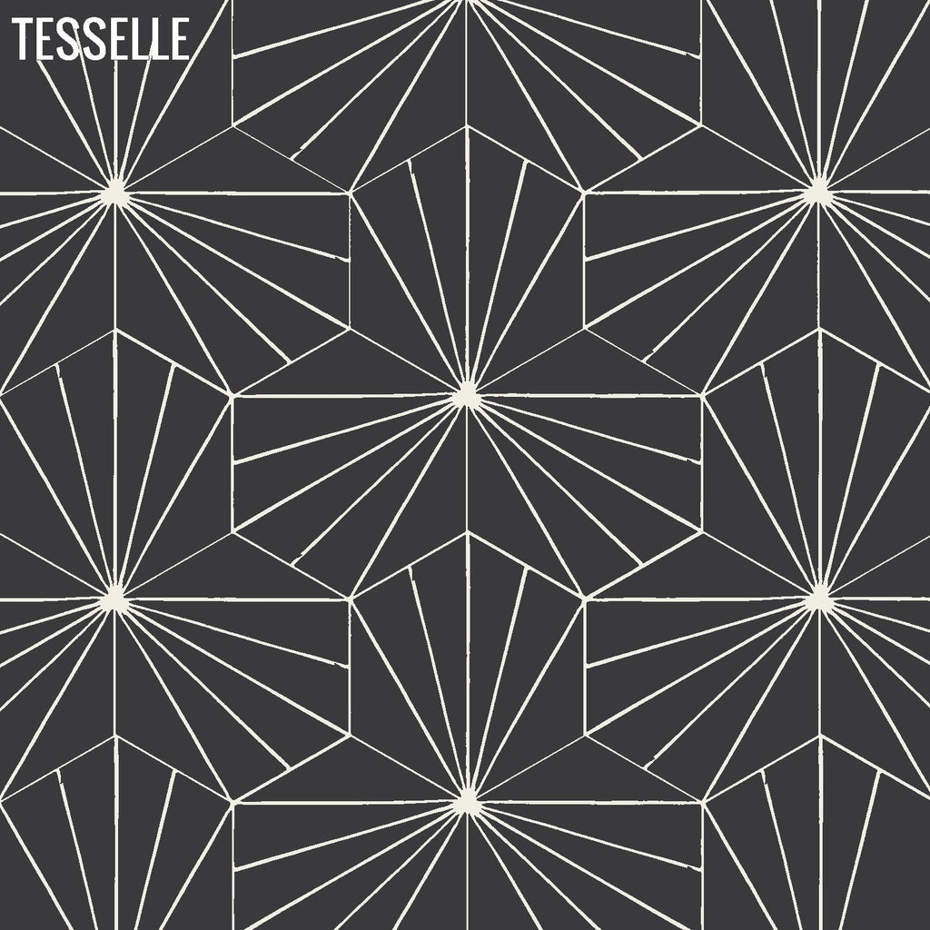 Sunray Basalt 9x8" Hexagonal Cement Tile 2
