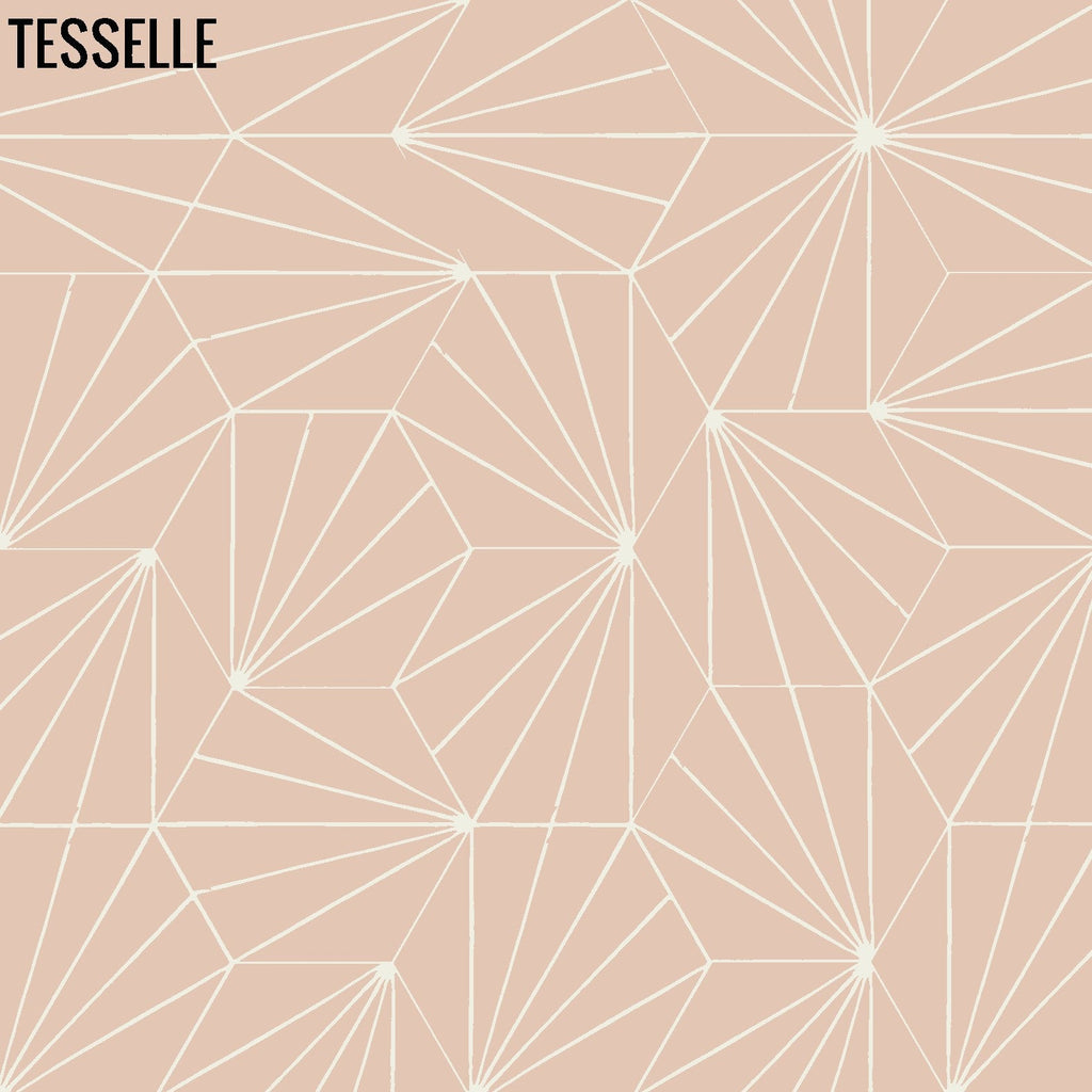 Sunray Shell 9x8" Hexagonal Cement Tile 3