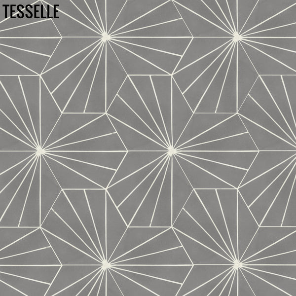 Sunray Steel 9x8" Hexagonal Cement Tile