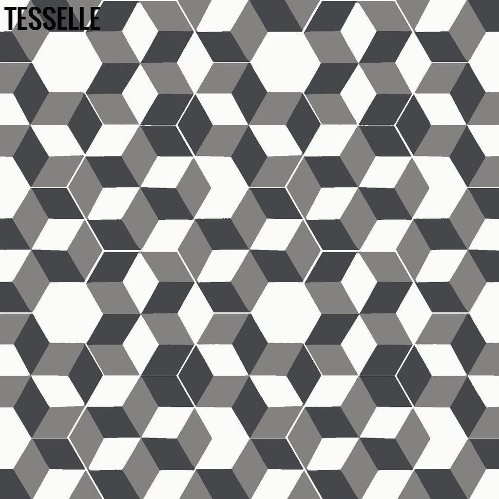 Tableau Montage 9x8" Hexagonal Cement Tile 2