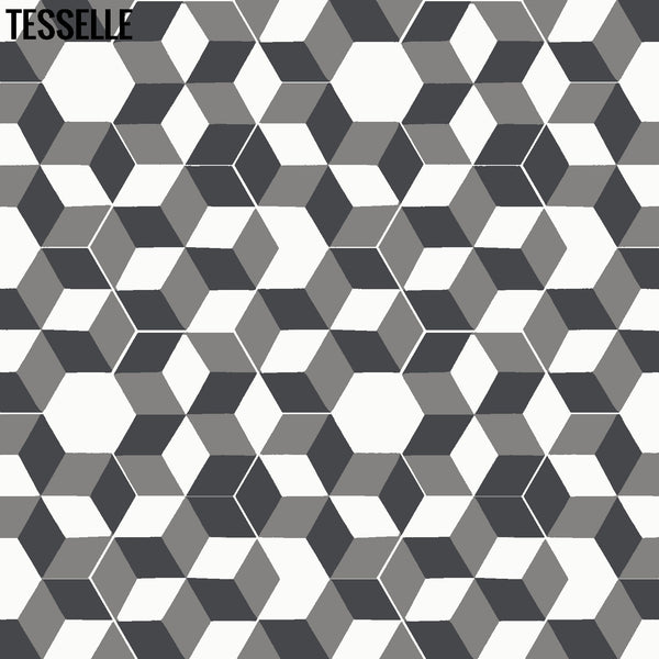 Tableau Montage 9x8" Hexagonal Cement Tile 2