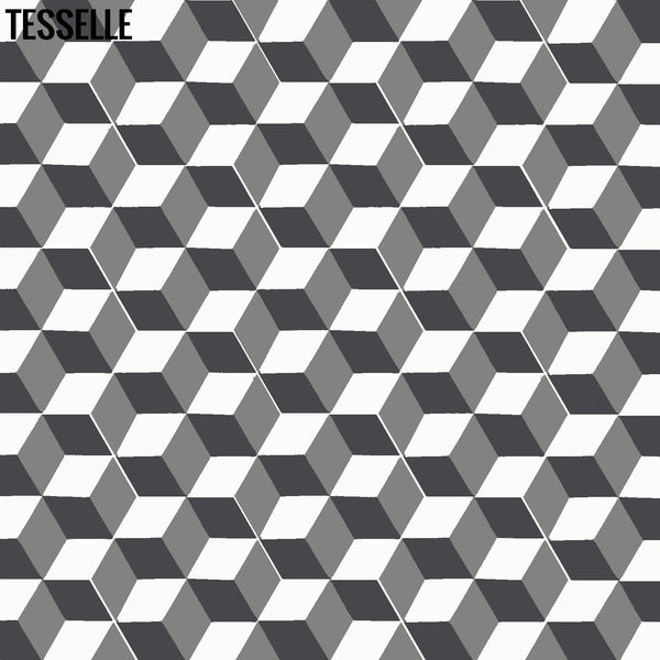 Tableau Montage 9x8" Hexagonal Cement Tile 1