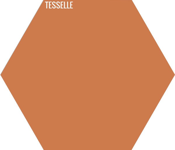 Tangerine 5006 - 9"x8" Hexagonal Cement Tile